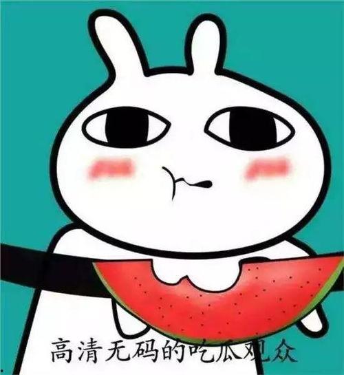 吃瓜表情怎么回